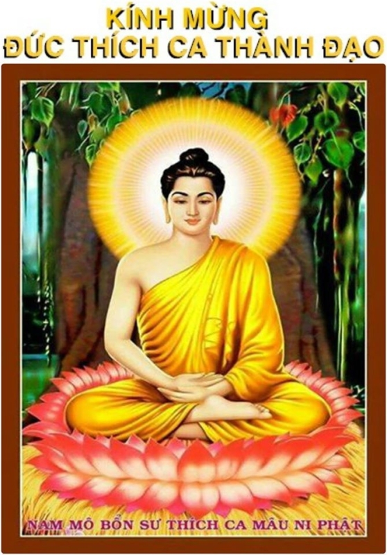 Tâm thư mùa Phật Thành Đạo – Phật lịch 2.562